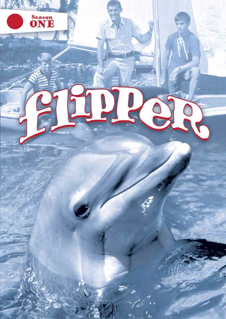Flipper, de 1964 foi uma famosa série sobre um golfinho e duas crianças